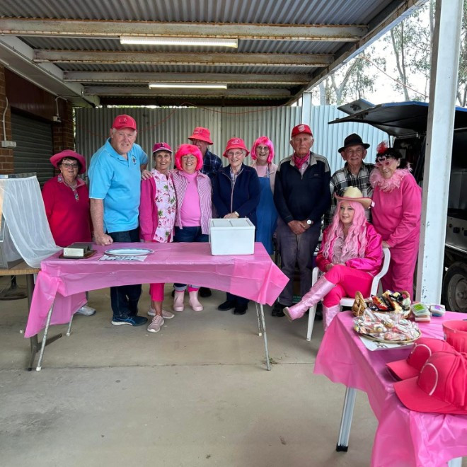 PINK up Your Town - The Lions Club of Young