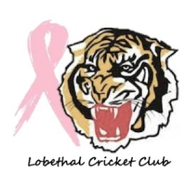 Lobethal Cricket Club Pink Stumps Day