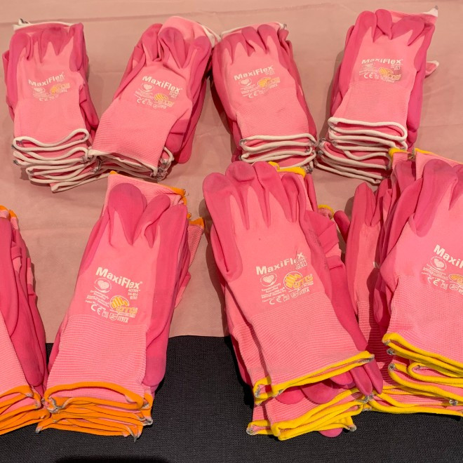 GPC H&Wb Pink Picnic in the Park