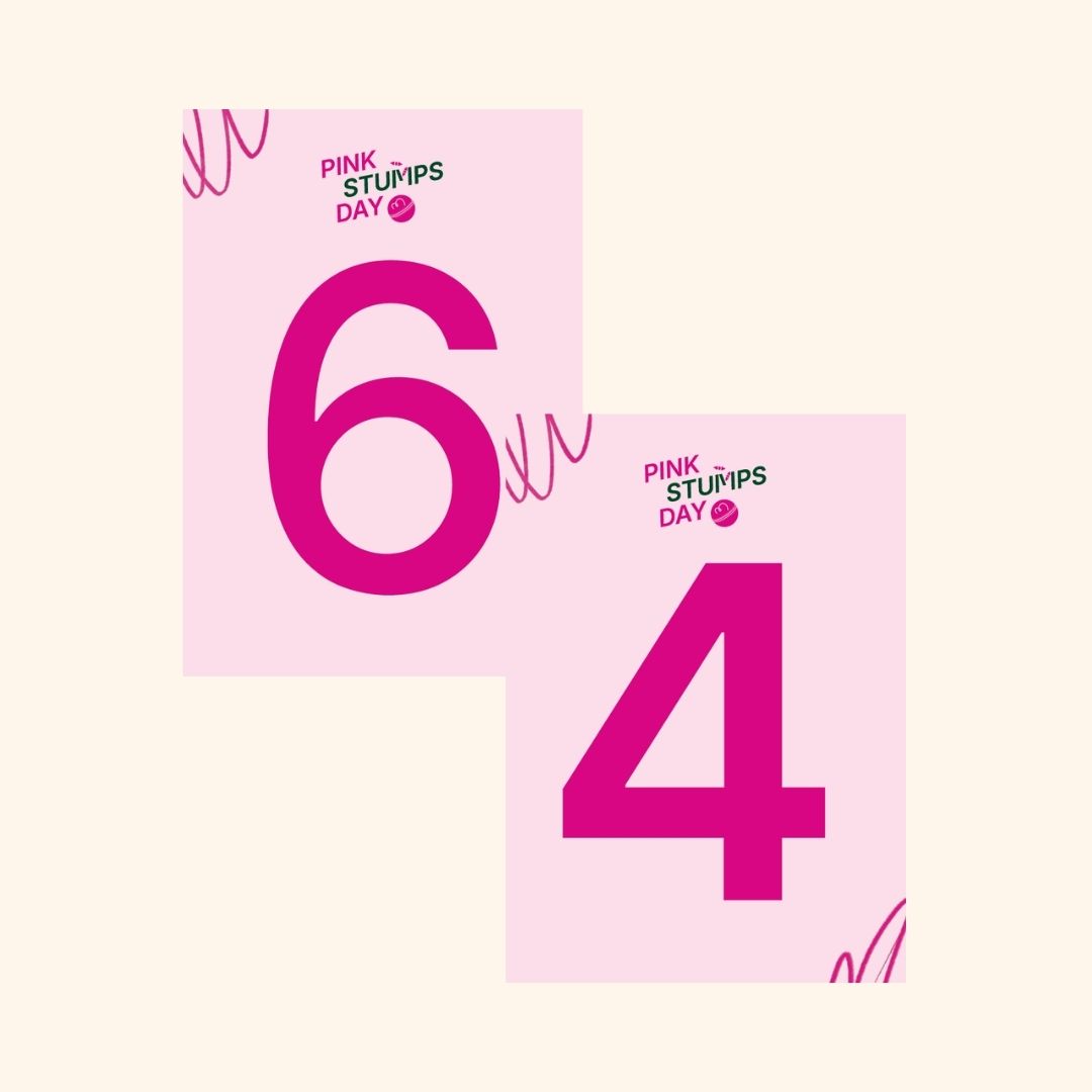 Boundary 4 and 6 Signs (A3) - Pink Stumps Day